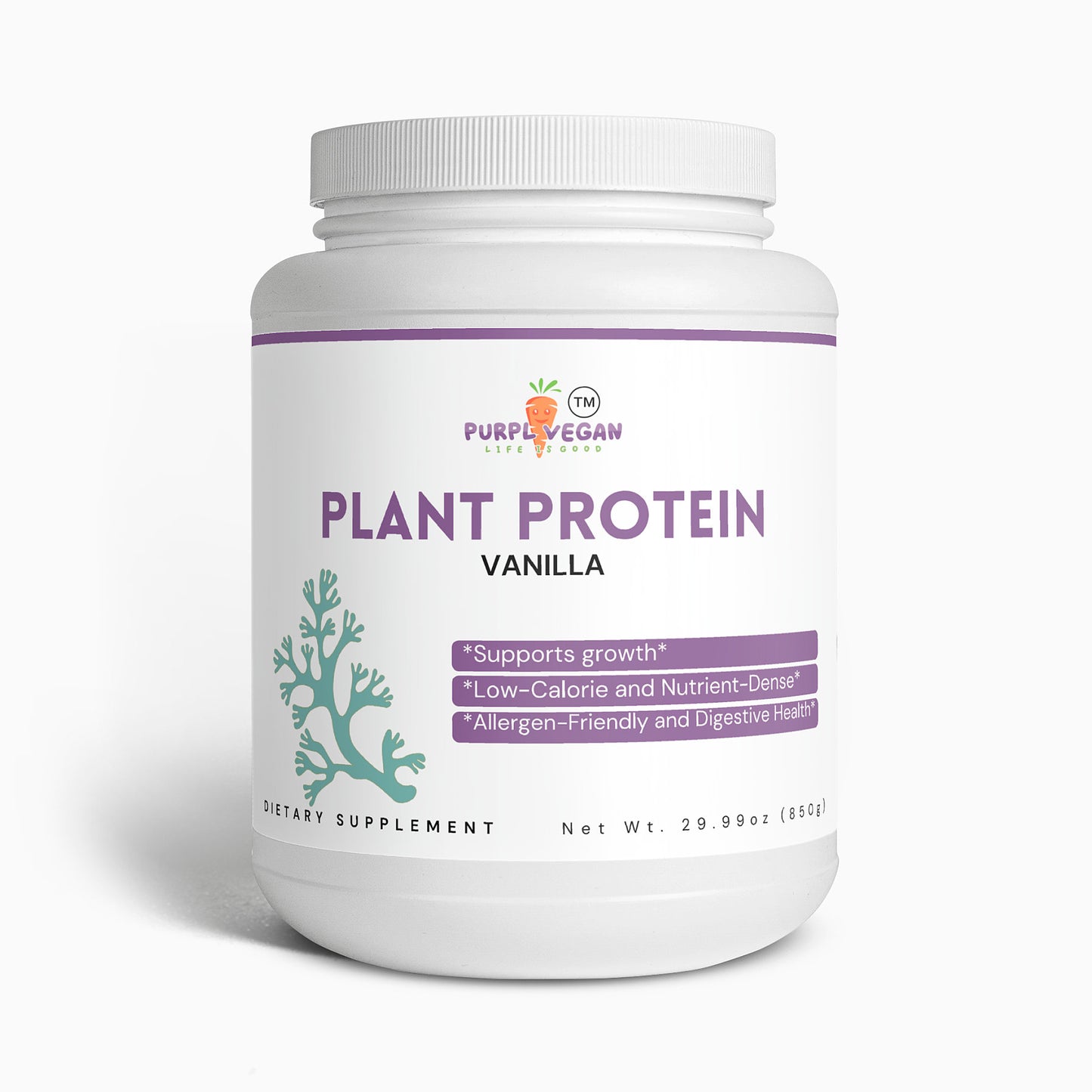 Plant Protein (Vanilla)