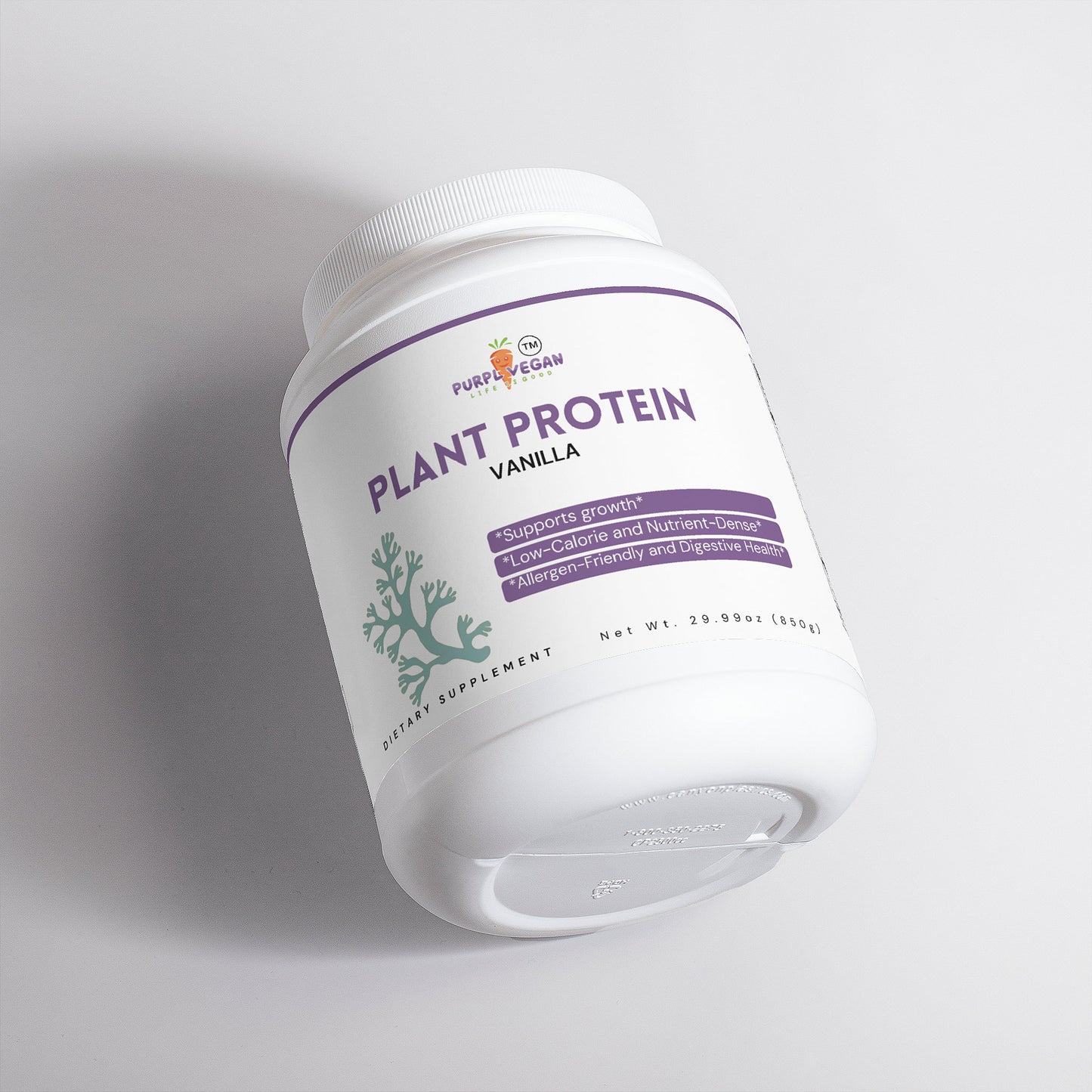 Plant Protein (Vanilla)