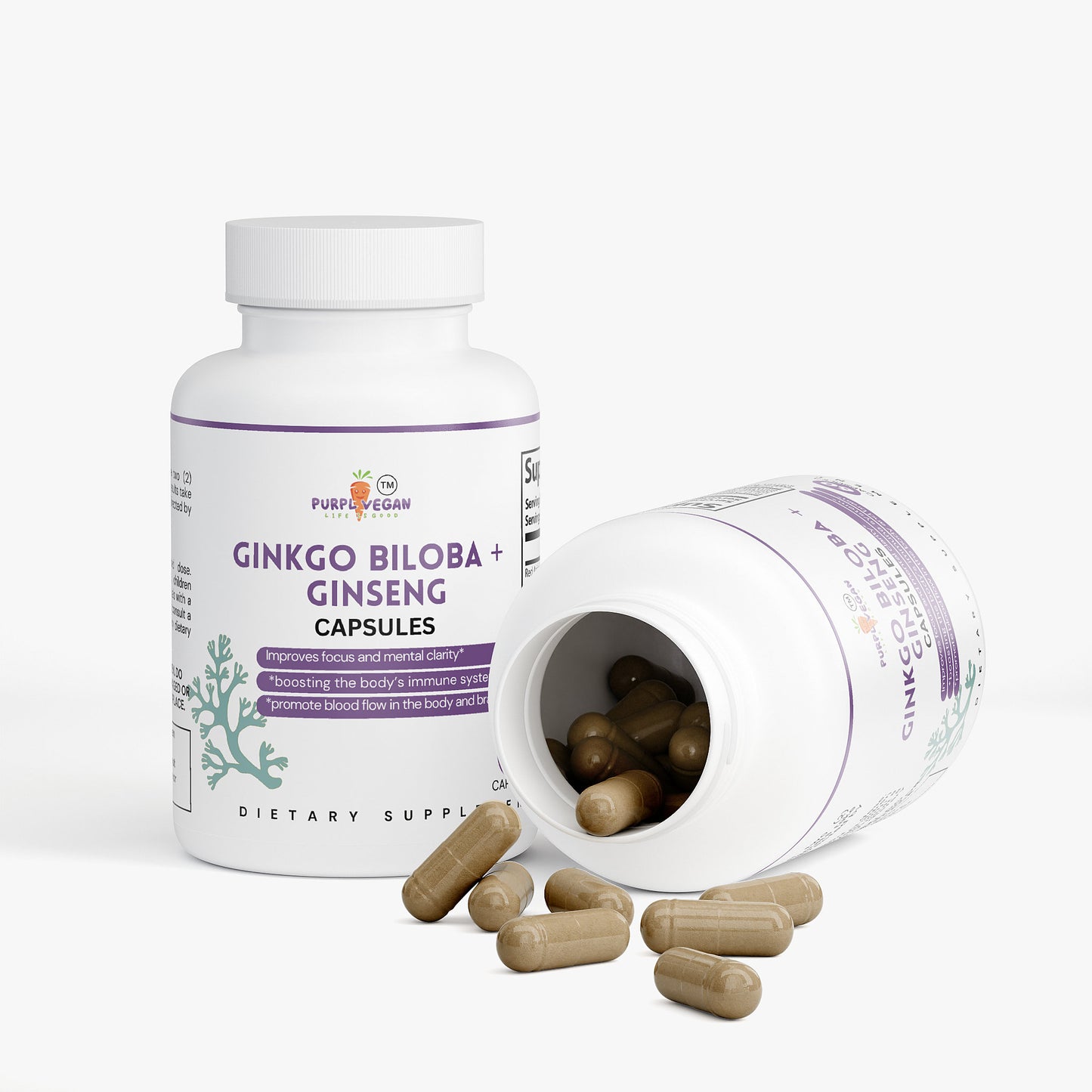 Ginkgo Biloba + Ginseng