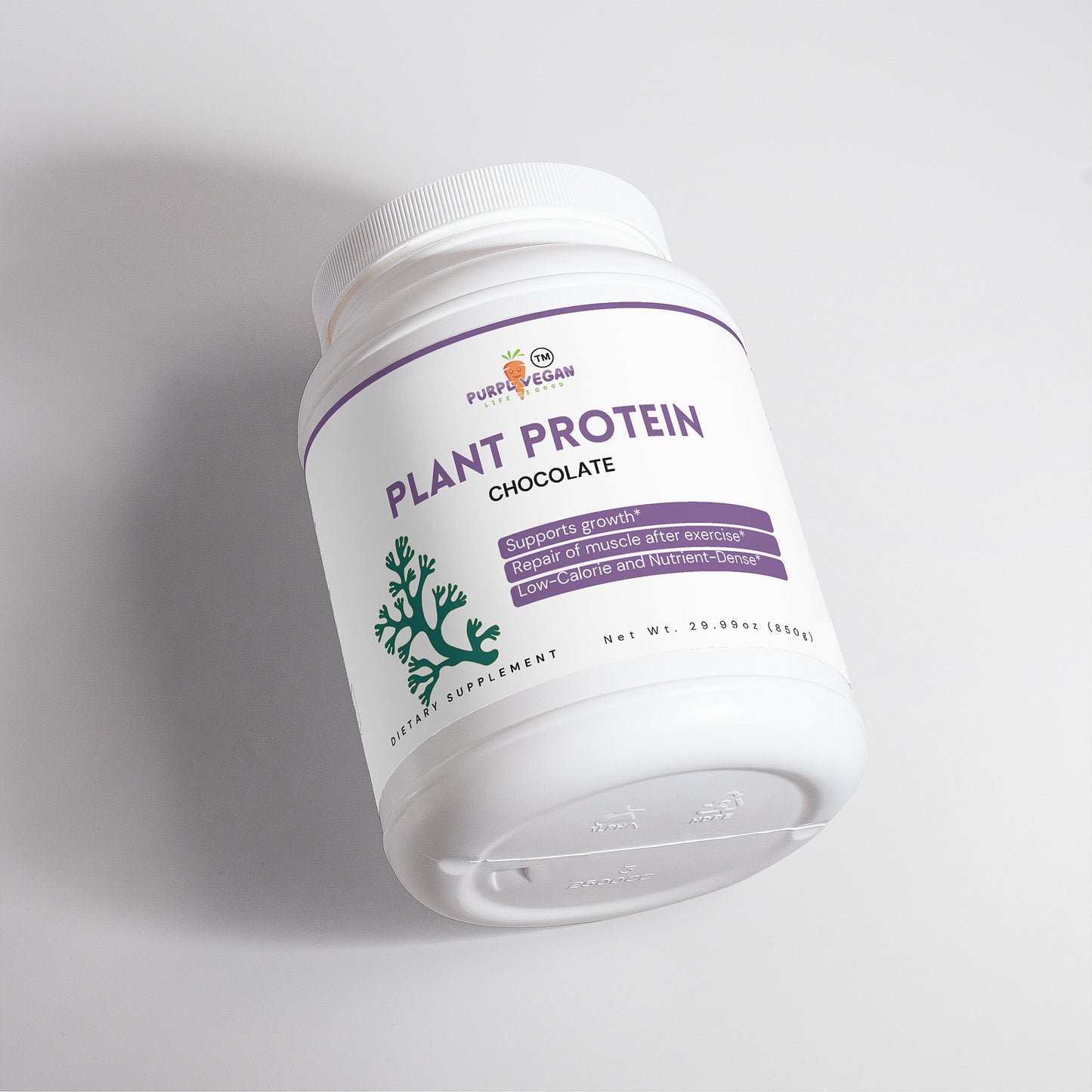 Plant Protein (Chocolate)