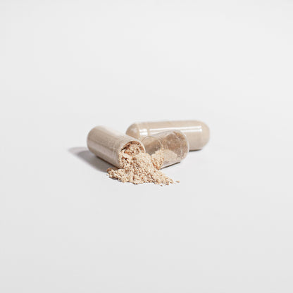 Cordyceps Mushroom - Purplvegan 