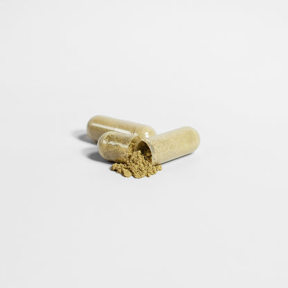 Ginkgo Biloba + Ginseng - Purplvegan 