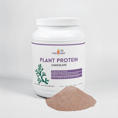 Plant Protein (Chocolate)